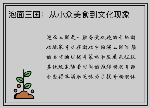 泡面三国：从小众美食到文化现象